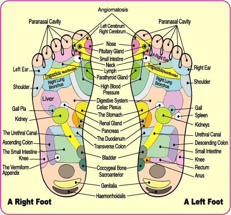 Apply Shu Li detoxify foot pouches to the soles of your feet. Chart shows acupuncture points.
