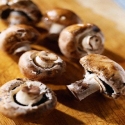 Agaricus Mushroom used in Takara foot pouch and body detoxification product