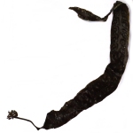 Kelp sea herb - ingredient in Inner CLarity herbal colon cleanse